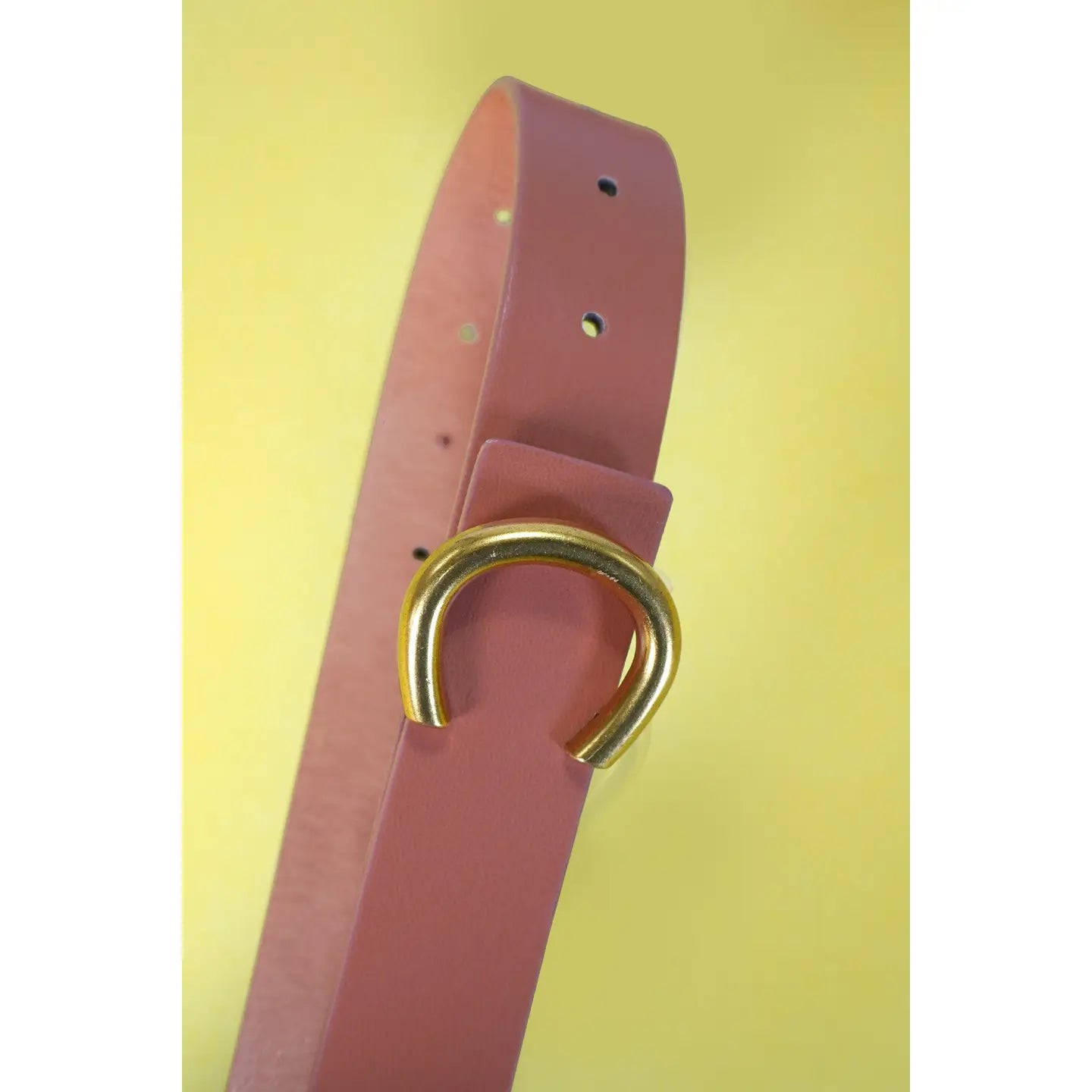 Gold Horseshoe Belt