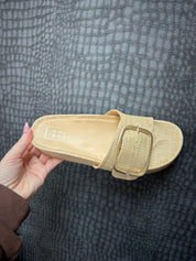 Delphine Slide