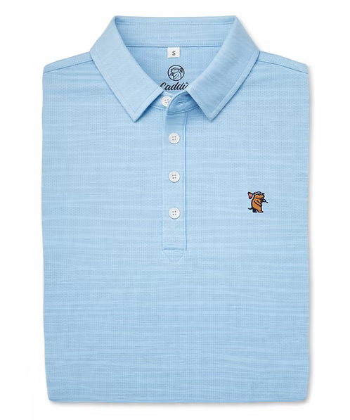 cloudpolo.avif