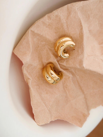 Double Hoop Earring