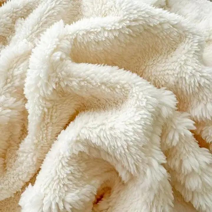Taffeta Plush Blanket